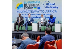 Image EU - Rwandan summit.